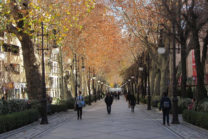 Private Tour of Central Granada. Total per Group Max 15 People - Cancellation and Reviews