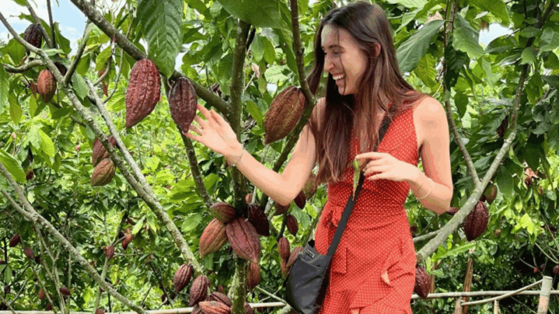Private Tour of Chocolate Plantation and Processing - Tasting and Education