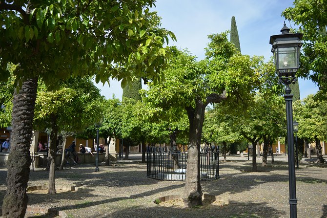 Private Tour of Cordoba Week Days 2 Hours - Tour Highlights