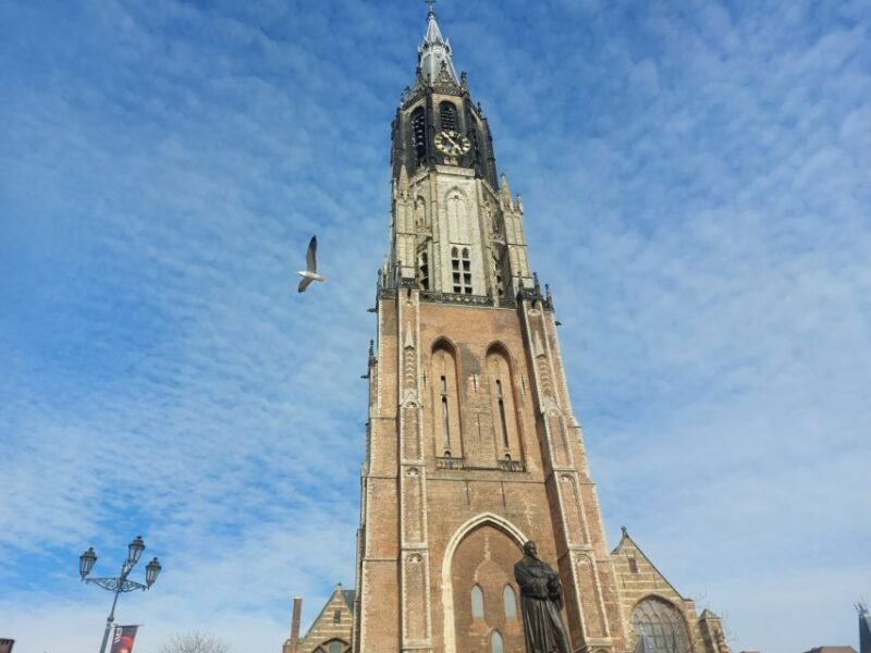 Private Tour of Delft + Beer Tasting / Royal Delft Museum - Accessibility and Languages