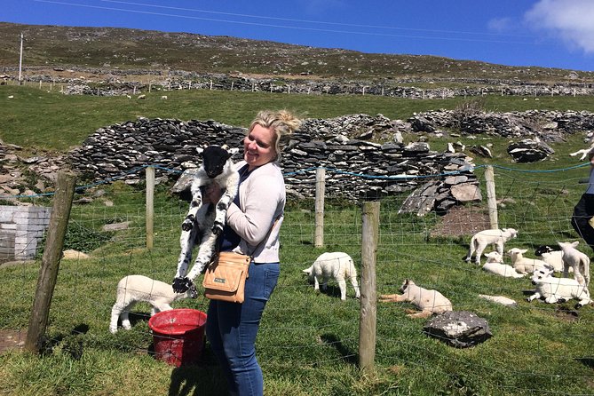 Private Tour of Dingle and Slea Head With Accredited Guide - Tour Guides Qualifications