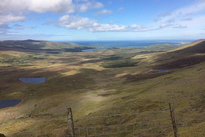 Private Tour of Dingle and Slea Head With Accredited Guide - Customizable Tour Experience
