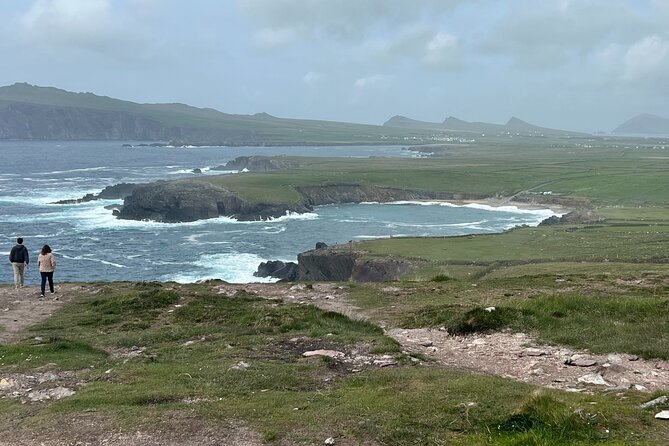Private Tour of Dingle Peninsula From Killarney - Traveler Feedback