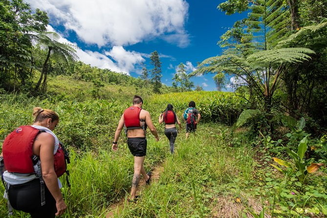 Private Tour of El Yunque Rainforest From San Juan - Exploring the Rainforest Canopy