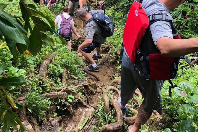 Private Tour of El Yunque Rainforest From San Juan - Refreshing Waterfall Swim