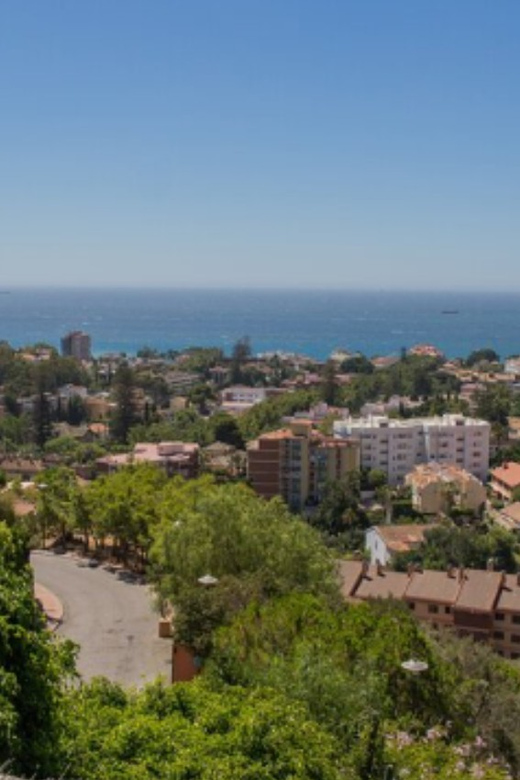 Private Tour of Essential Malaga - Tour Highlights