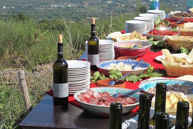Private Tour of Etna and Winery Visit With Food and Wine Tasting From Taormina - Food and Wine Tasting