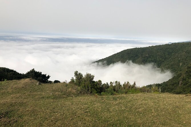 Private Tour of Fanal Park Ancient Trees - Additional Information