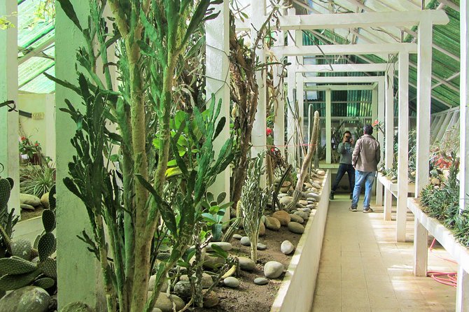 Private Tour of Godawari Botanical Garden Including Lunch - Meeting and Pickup