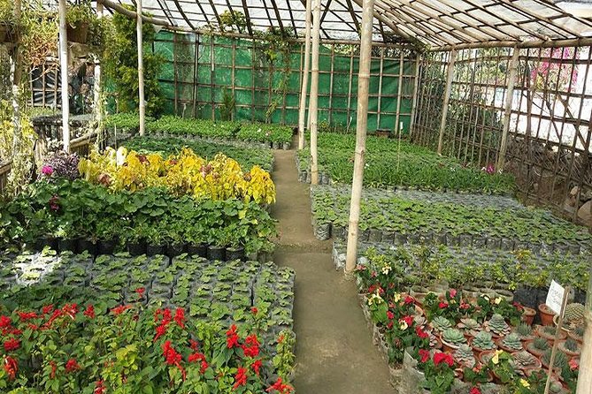Private Tour of Godawari Botanical Garden Including Lunch - Location and Accessibility