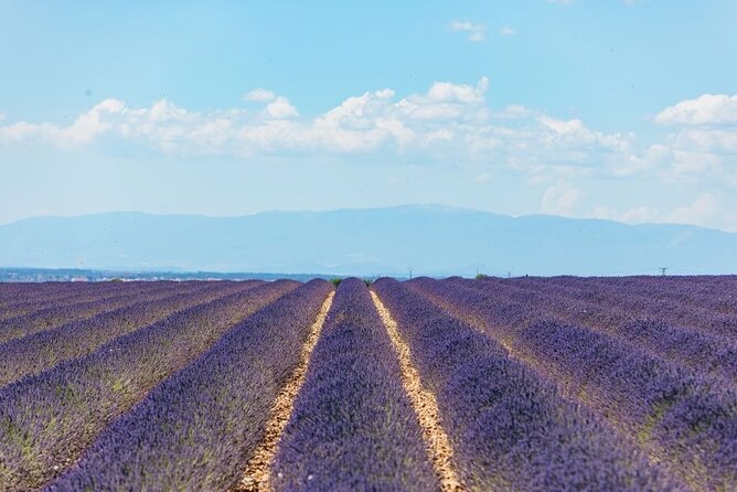 Private Tour of Gorges of Verdon and Fields of Lavender in Nice - Cancellation and Booking Policies