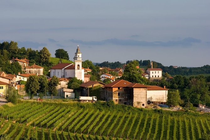 Private Tour of Goriska Brda Wine Hills From Ljubljana - Tour Overview