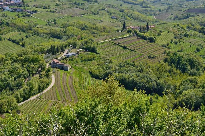 Private Tour of Goriska Brda Wine Hills From Ljubljana - Accessibility Information