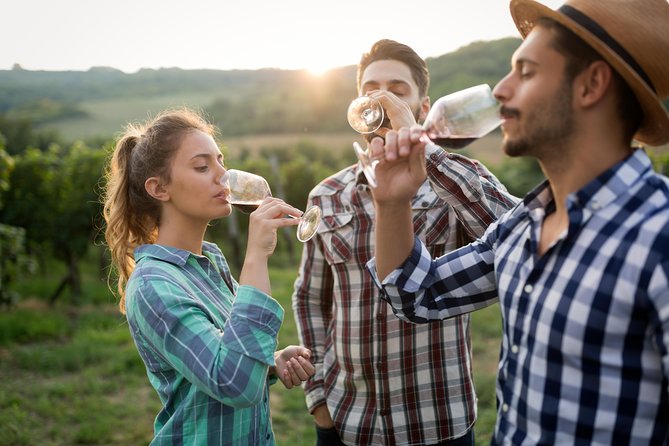 Private Tour of Goriska Brda Wine Hills From Ljubljana - Tour Guide Insight