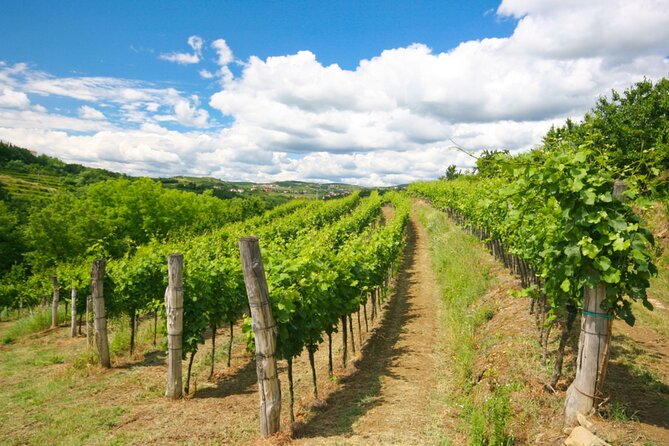 Private Tour of Goriska Brda Wine Hills From Ljubljana - Travel Tips