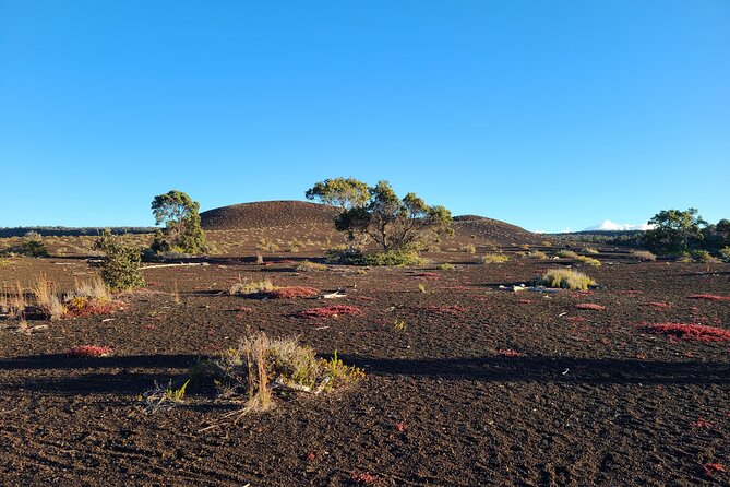 Private Tour of Hawaii Volcanoes National Park - Guided Commentary