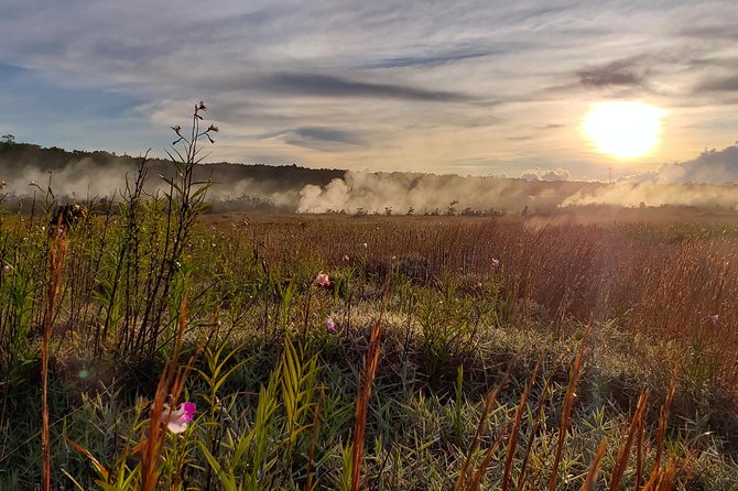 Private Tour of Hawaii Volcanoes National Park - Personalized Attention