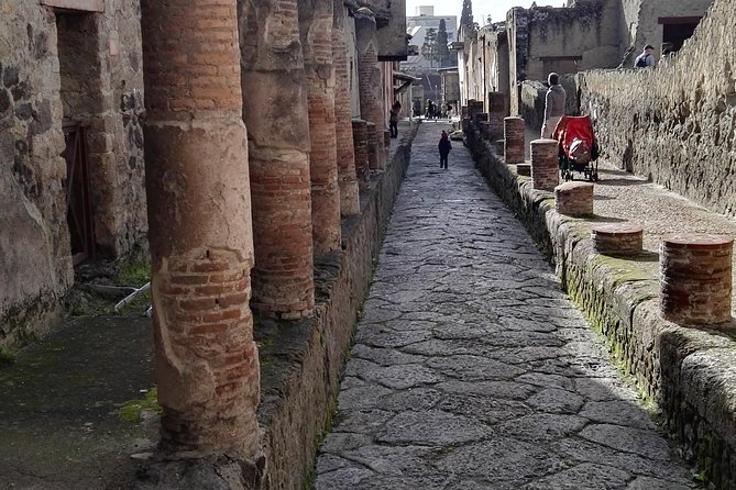 Private Tour Of Herculaneum & Mount Vesuvius - Booking Details