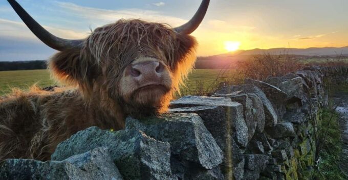 Private Tour of Highlands, Lochs & Castles From Edinburgh - Language Options for Guides