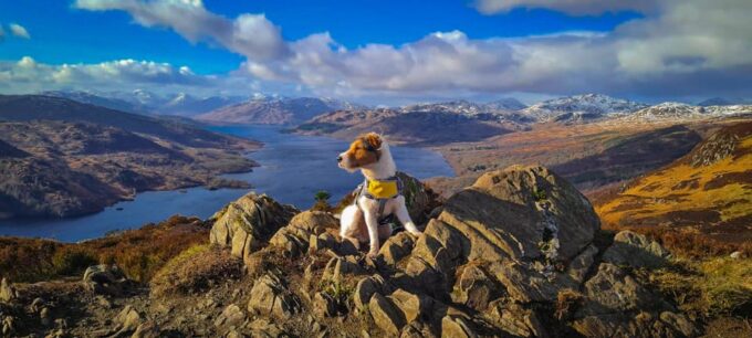 Private Tour of Highlands, Lochs & Castles From Edinburgh - Frequently Asked Questions