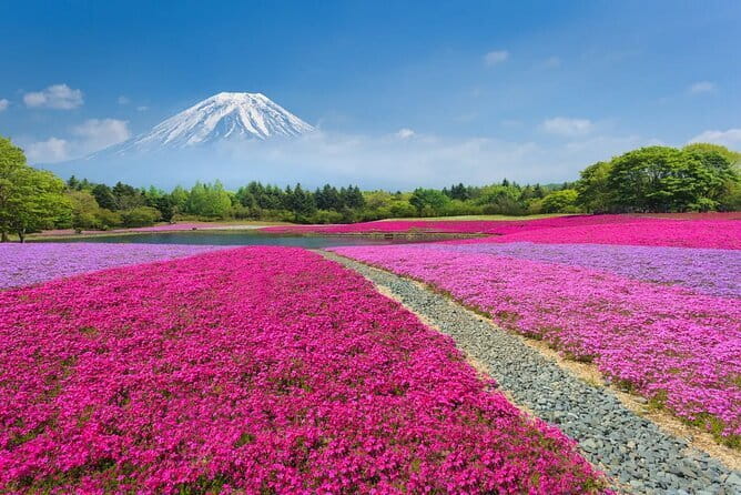 Private Tour of Japans Secret Arcades and Toy Stores - Booking Information