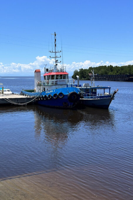 Private Tour of Kuala Penyu Sabah Proboscis & Firefly - Frequently Asked Questions