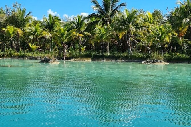 Private Tour of Laguna Bacalar: Explore Exclusive Activities and Places! - Customer Feedback