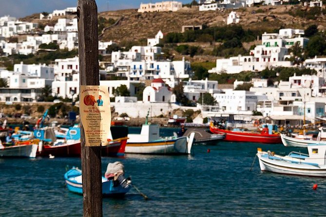 Private Tour of Little Venice, Kalafati Beach and Panagia Tourliani Monastery - Private Transportation and Logistics