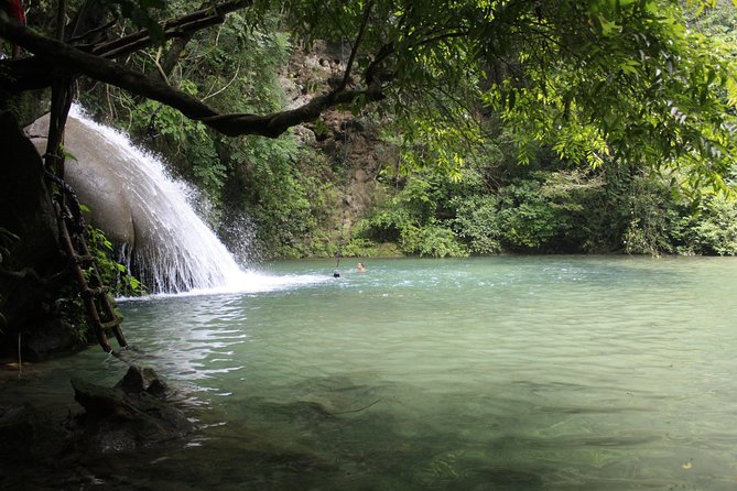 Private Tour of Magical Waterfalls Huatulco HT - Culinary Delight at the Coffee Plantation