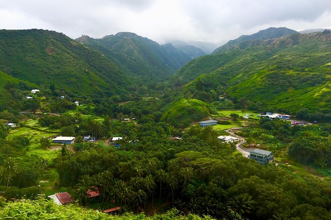 Private Tour of Maui, the Valley Isle - Accessibility and Medical Requirements