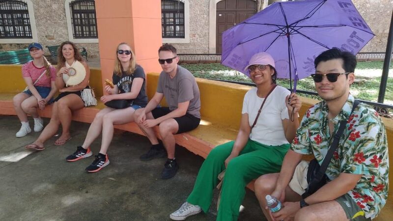 Private Tour of Merida 3 Hours - Best Rated - Guided Experience