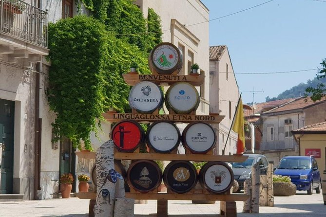 Private Tour of Mount Etna and Etna Winery Visit With Tasting From Syracuse - Reviews