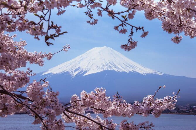 Private Tour of Mount Fuji With Kawaguchi Lake and Oshino Hakkai - Accessibility and Participation
