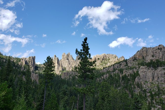 Private Tour of Mount Rushmore, Crazy Horse and Custer State Park - Safety Measures