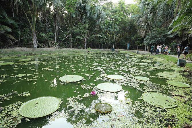 Private Tour of Musa (Botanical Garden, Amazon Museum) - Key Points