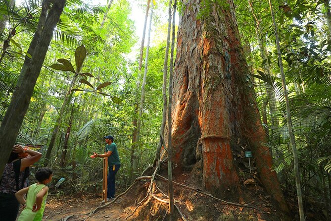 Private Tour of Musa (Botanical Garden, Amazon Museum) - Pickup and Meeting Details