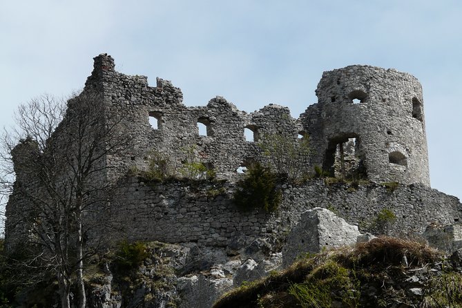 Private Tour of Neuschwanstein Castle & Highline 179 From Munich - Customer Reviews