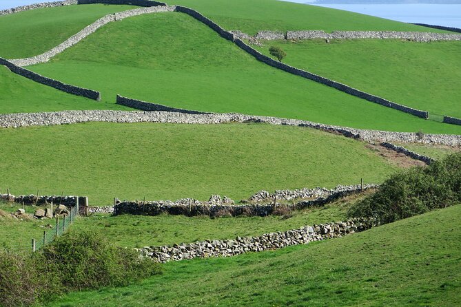Private Tour of Newgrange and The Hill of Tara - Discovering the Hill of Tara