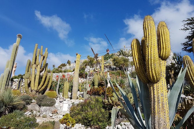 Private Tour of Nice, Monaco & Eze With a Local Guide - Customizable Private Tour