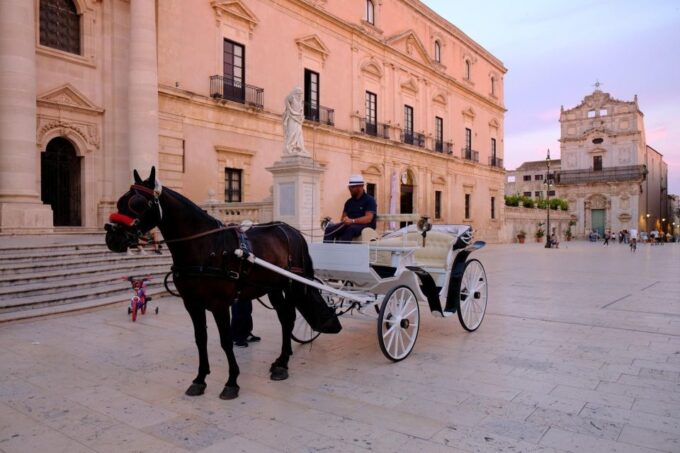 Private Tour of Ortygia and the Neapolis Archaeological Park - Important Information
