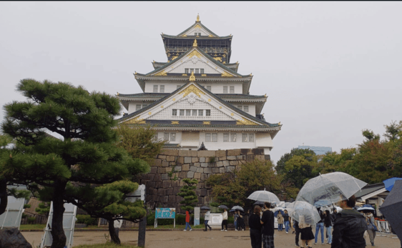 Private Tour of Osaka With A Spanish-Speaking Guide - Key Points