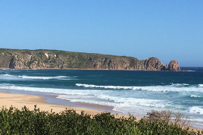 Private Tour of Phillip Island & Penguins With Personal Tour Guide - Accessibility and Participation