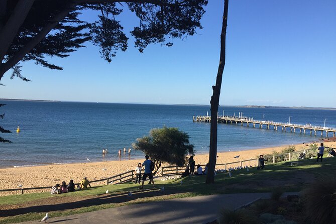 Private Tour of Phillip Island & Penguins With Personal Tour Guide - Viewing the Penguins