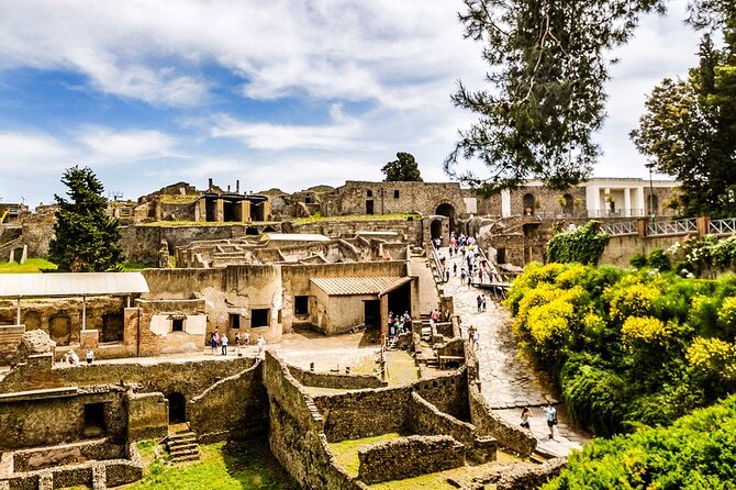 Private Tour of Pompeii Half Day With Mercedes Sedan and Guide - Authorized Guide