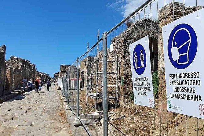 Private Tour of Pompeii Half Day With Mercedes Sedan and Guide - Included Amenities