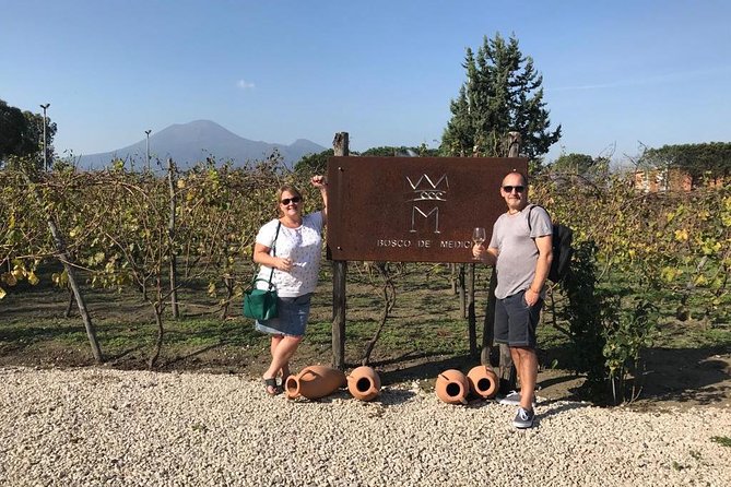 Private Tour of Pompeii Ruins + Organic Wine and Lunch Tasting - Booking and Cancellation Policy