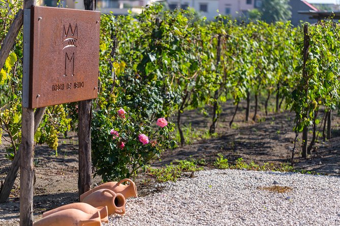 Private Tour of Pompeii Ruins, Organic Wine Tasting and Lunch - Inclusions