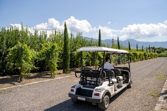 Private Tour of Pompeii Ruins, Organic Wine Tasting and Lunch - Organic Wine Tasting and Lunch