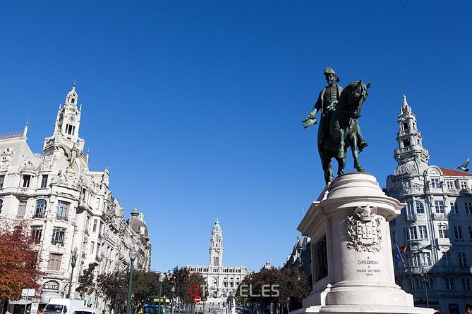 Private Tour of Porto - Accessibility Information
