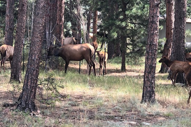 Private Tour of Red Rocks, Echo Lake, Mount Evans and Idaho Springs. - Inclusions and Pickup